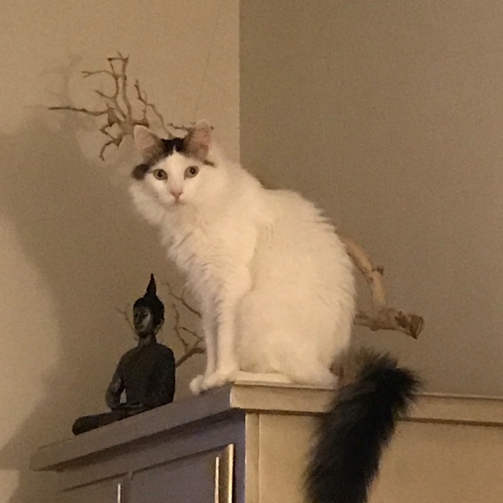 Meet your Posher, Jackie